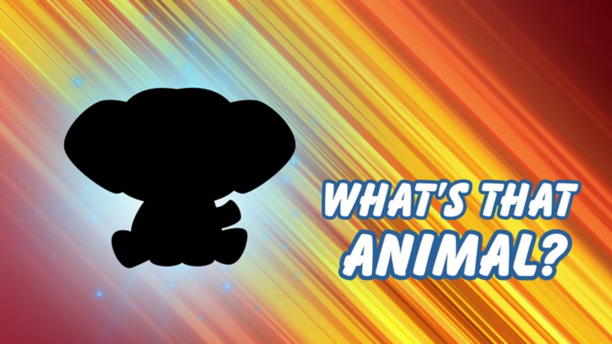 What's That Animal? image number null
